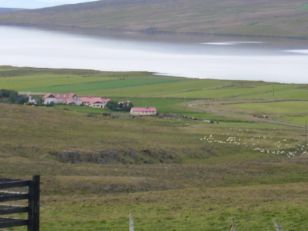 Stekkjardalur Holiday Home Svínavatn Buitenkant foto